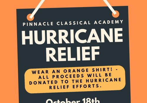 Hurricane Helene Fundraiser